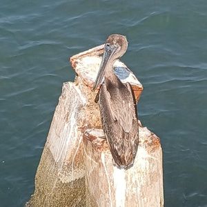 NOTHING FOR SALE BEYOND THIS POINT: